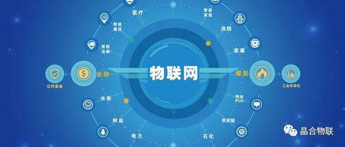 萬(wàn)物互聯(lián) 21世紀(jì)互聯(lián)網(wǎng)信息服務(wù)的新紀(jì)元